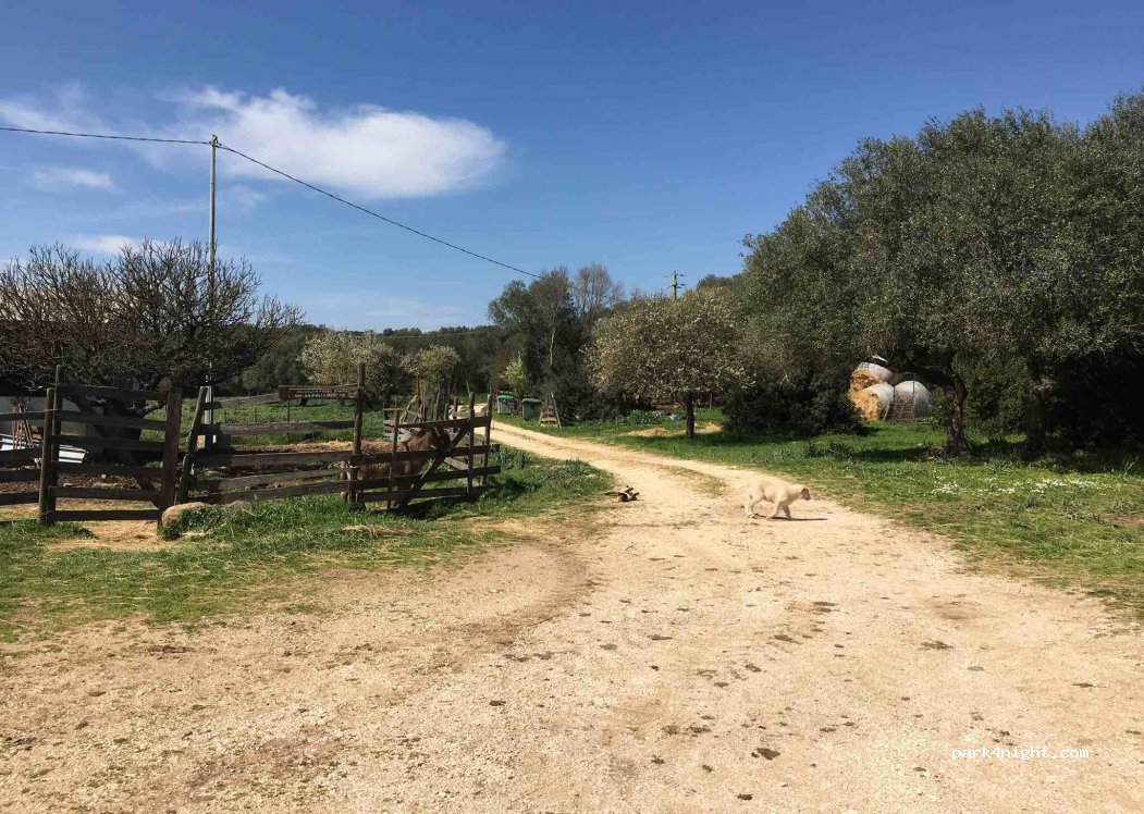 AgriPaules — foto 2