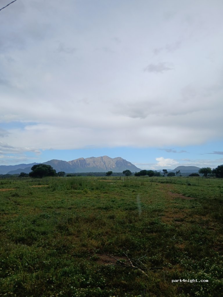 AgriPaules — foto 5