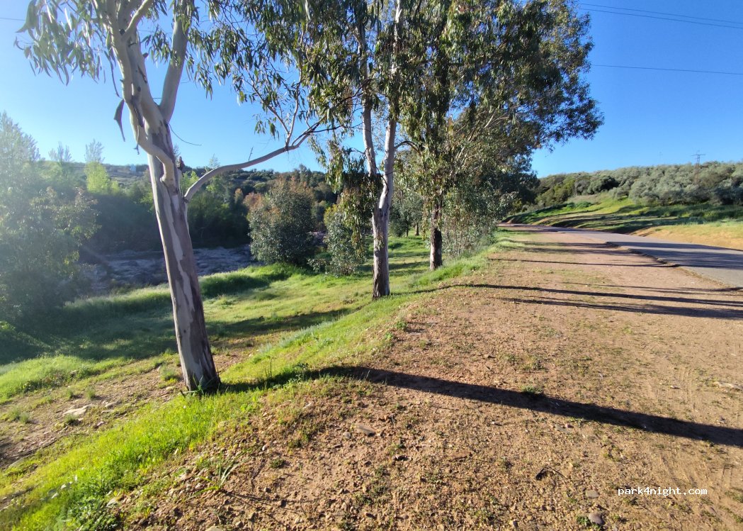 (23210) Guarromán - — foto 3