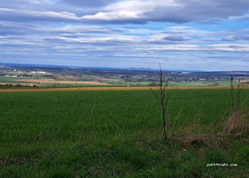(53909) Zülpich - — foto 3
