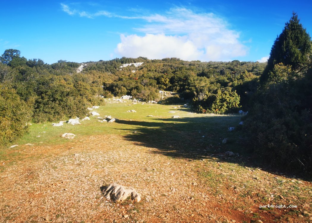 (33054) Delphi - — foto 2