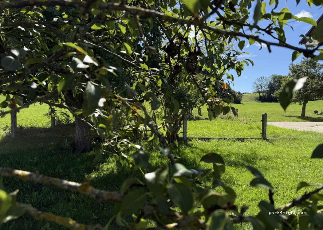 Stellplatz am Waldblick — foto 2