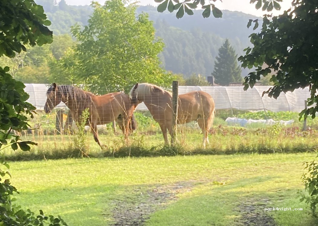 Klostermühle Bengel — foto 2