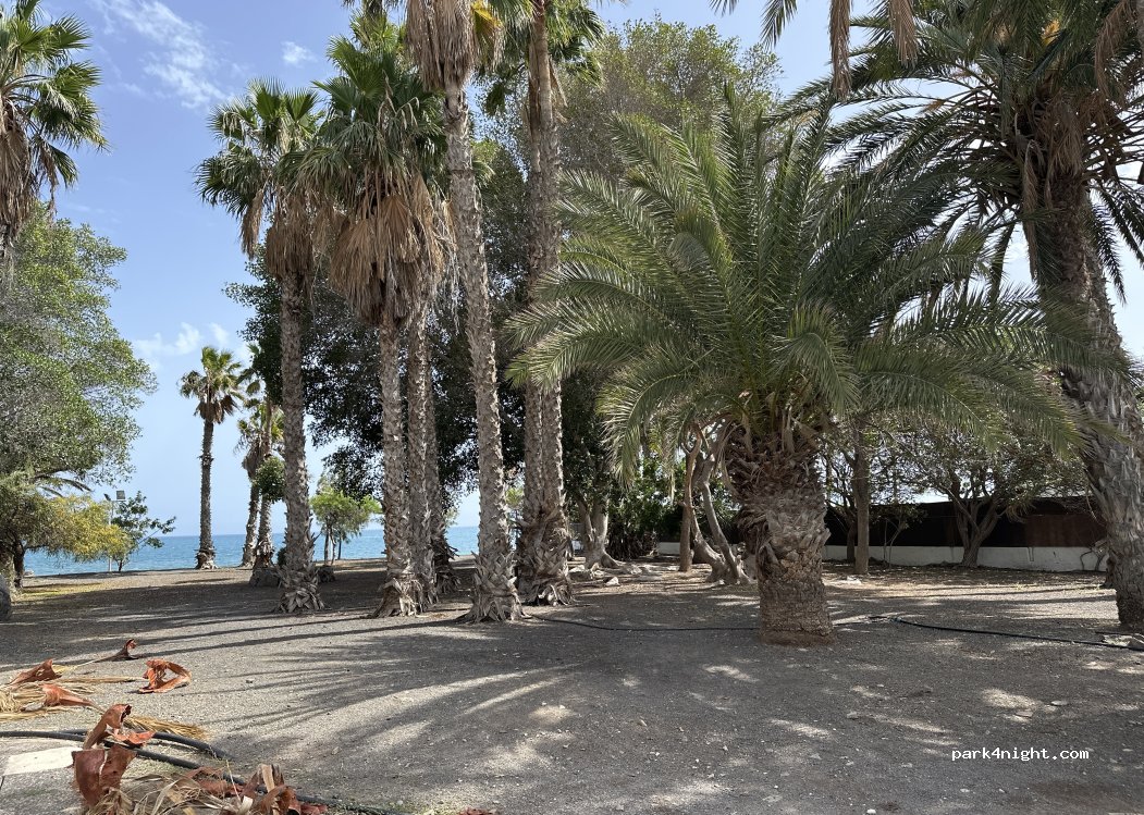 (35107) San Bartolomé de Tirajana - Avenida de Wind Surfing — foto