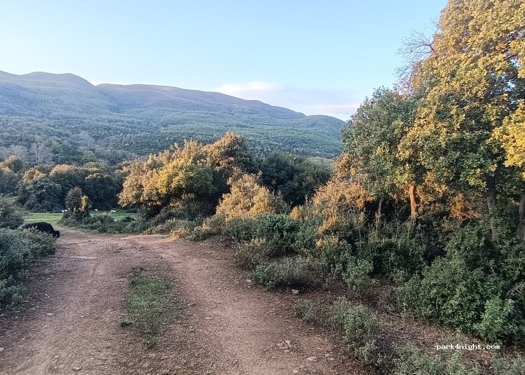 (59100) Veria - Βέροια - Ριζώματα — foto 4