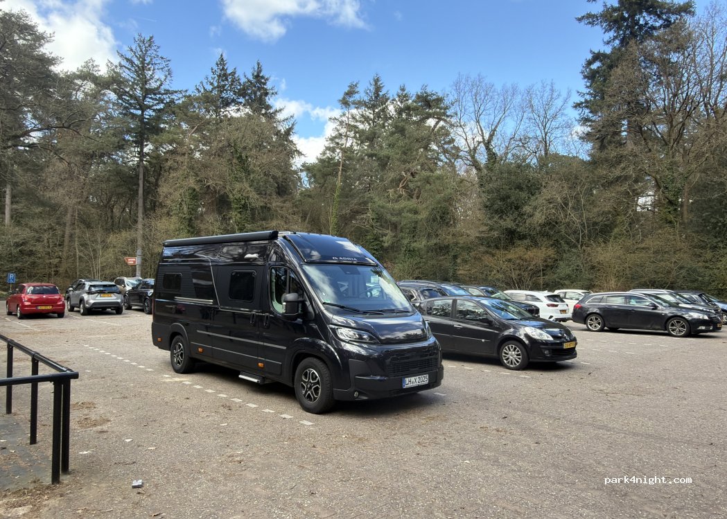 (8426GJ) Ooststellingwerf - Bosbergpad — foto 2