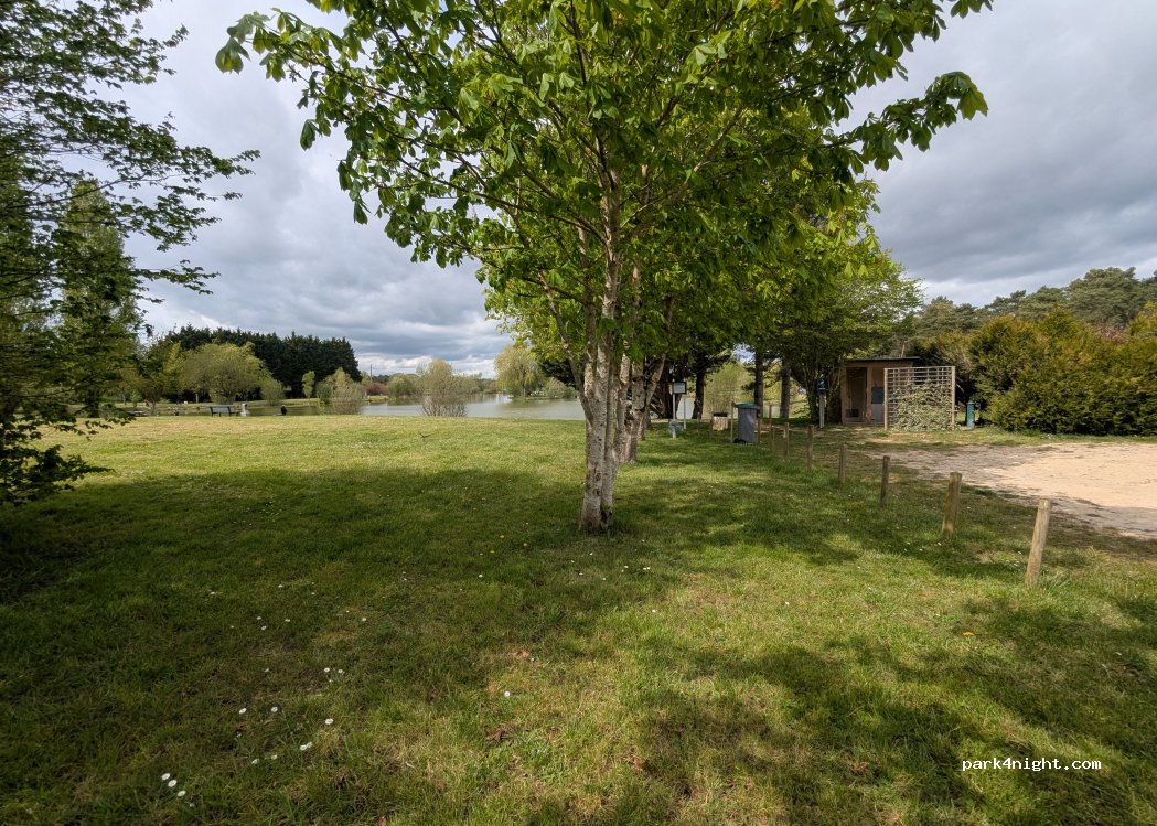 (41700) Sassay - D 157 — foto 4