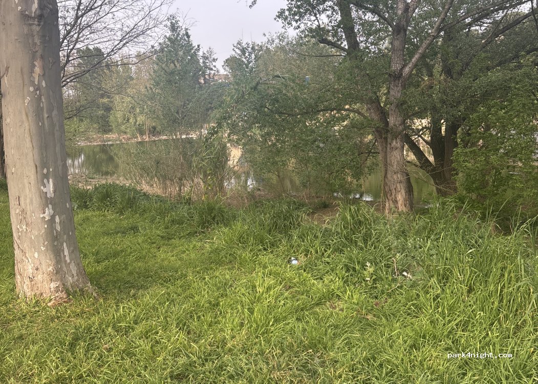 (17840) Sarrià de Ter - Passeig del Riu — foto