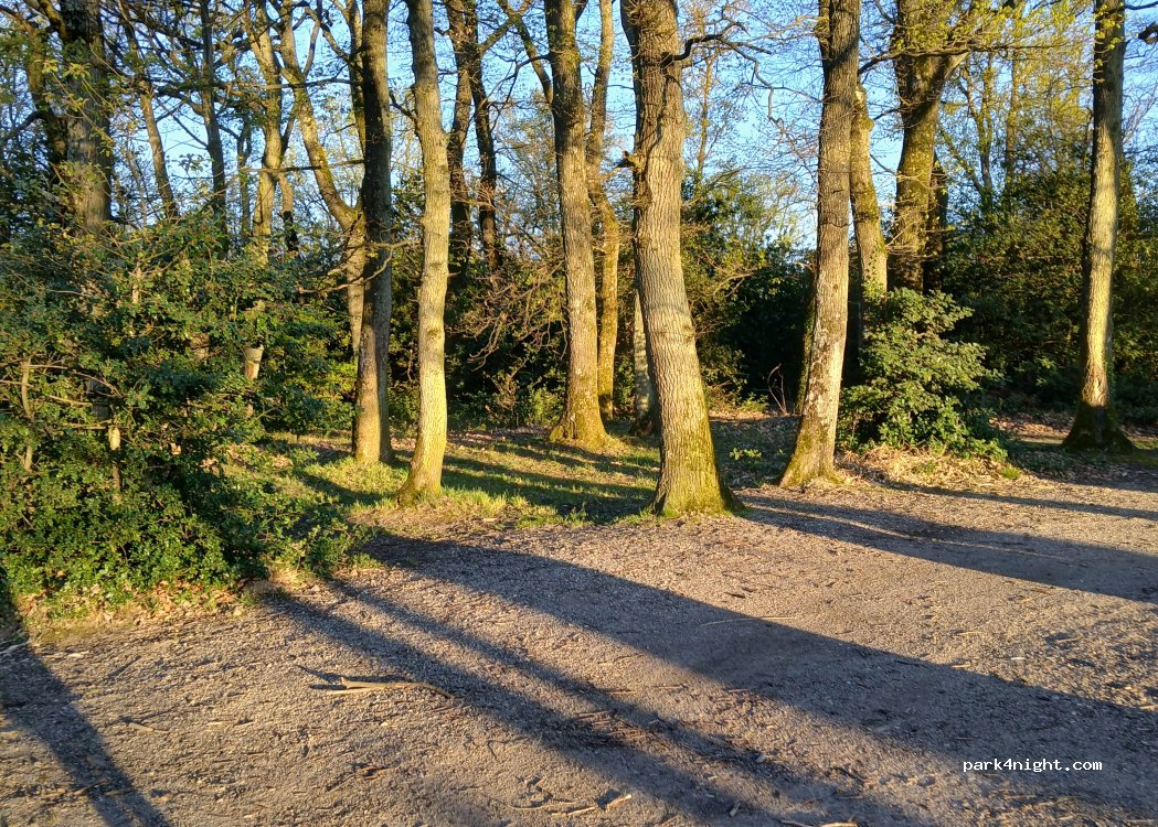 (38121) Vienne - Chemin des Dîmes — foto