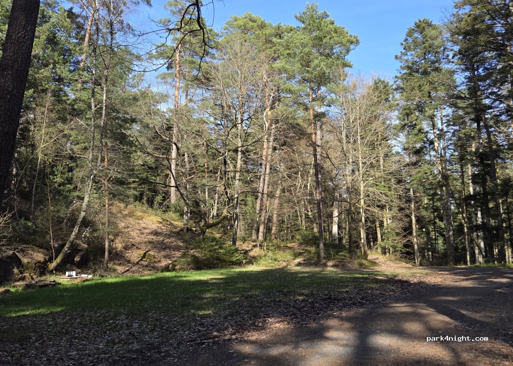 (88480) Saint-Remy - Route des Basses Pierres — foto 2