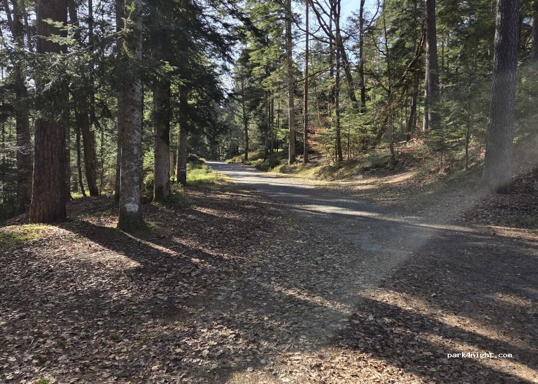 (88480) Saint-Remy - Route des Basses Pierres — foto 3