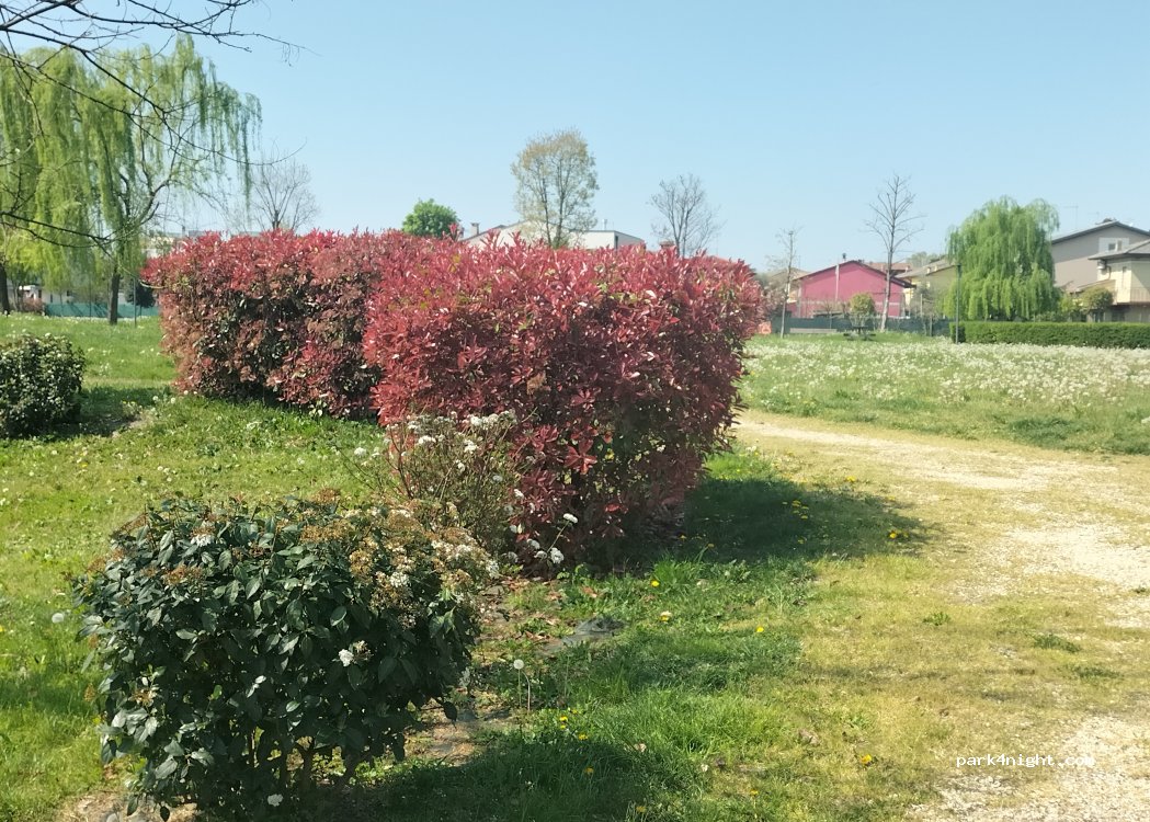 (36040) Vicenza - Via San Cristoforo — foto 3