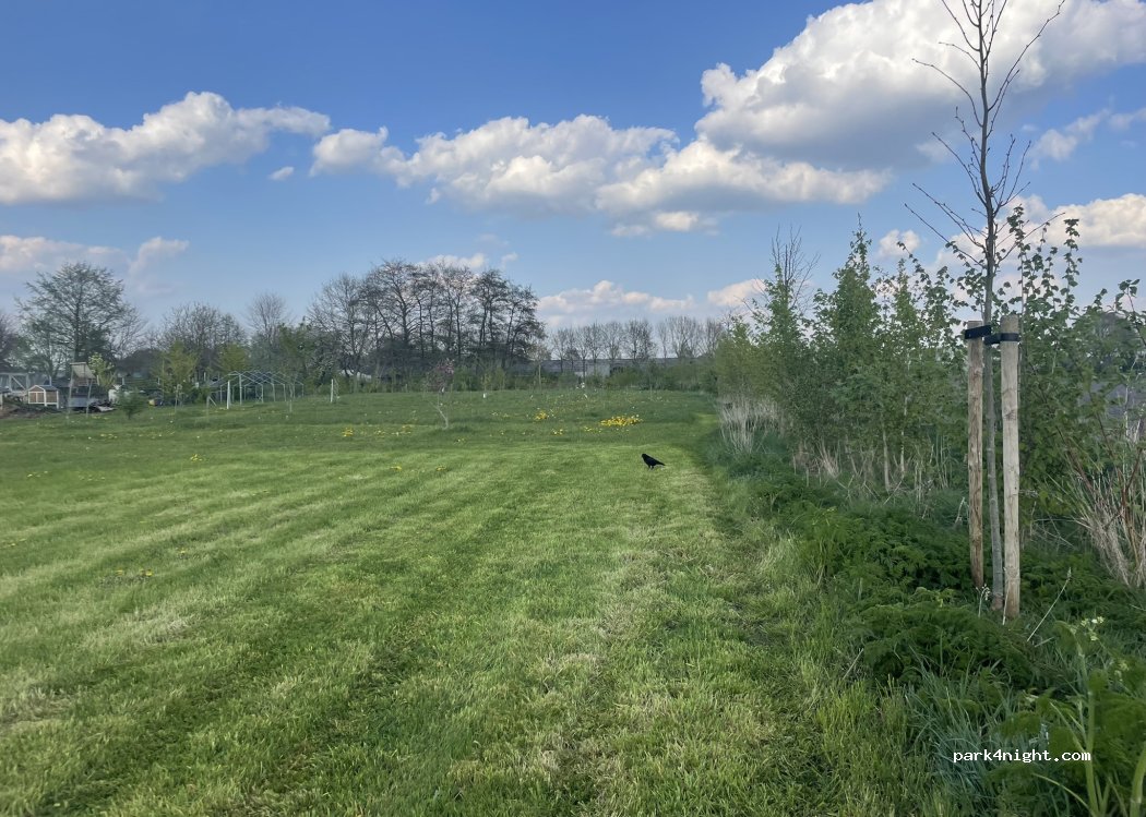 (5446XL) Wanroij - Verlorenhoek — foto 2