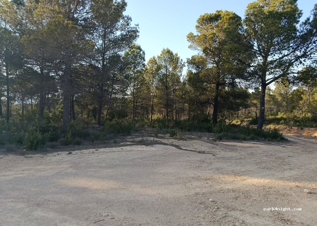 (02215) Alborea - — foto