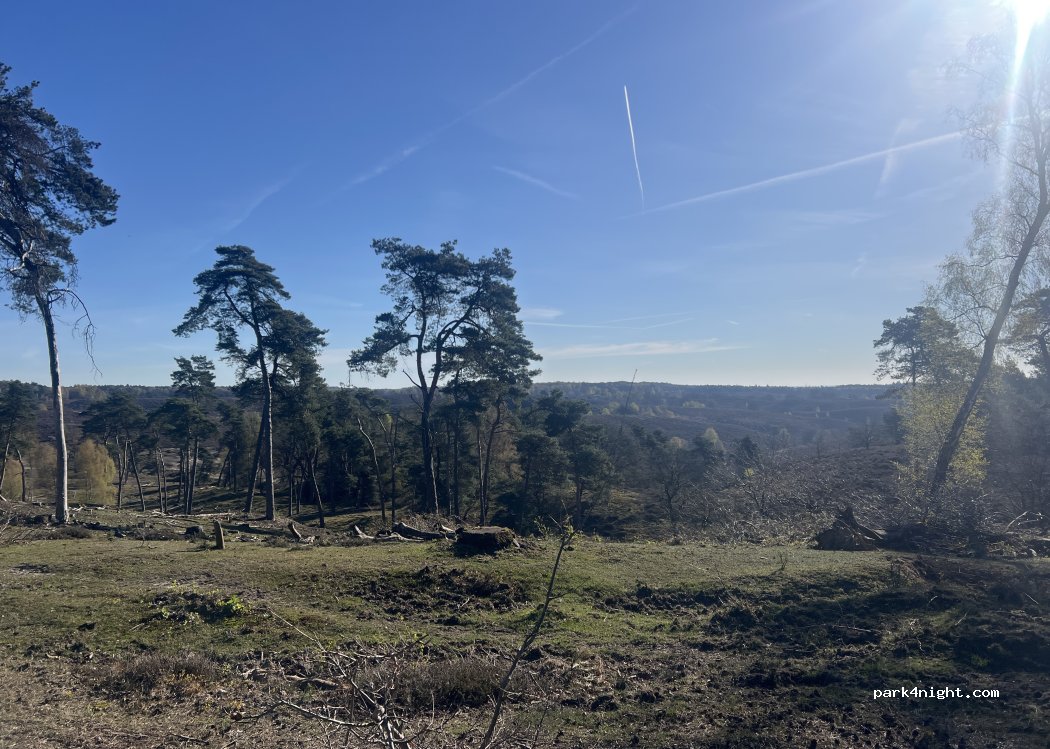 (6991JZ) Rheden - Beekhuizenseweg — foto 2