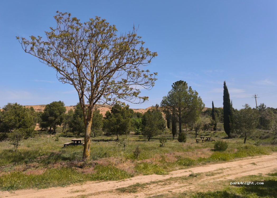 (44520) Samper de Calanda - — foto 4