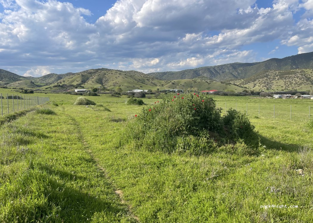 (42300) Oichalia - Agios Georgos — foto 5