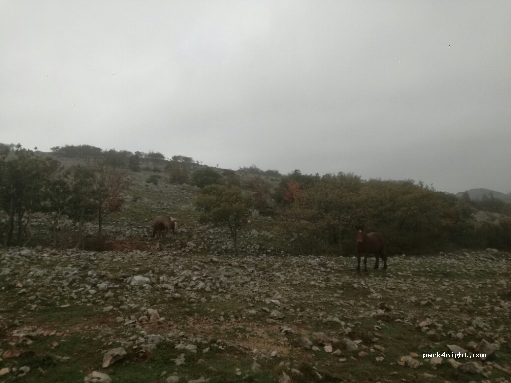 () Crno - Unnamed Road — foto