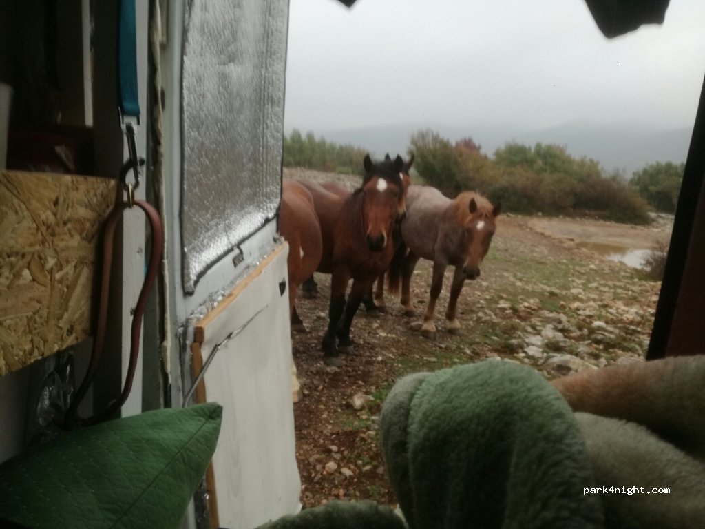 () Crno - Unnamed Road — foto 3