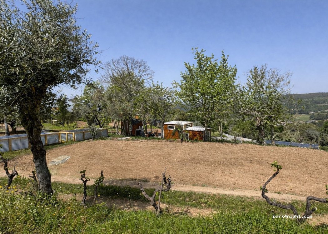 Tiny Escape – Private Motorhome Stays (3 Spaces) — foto 2