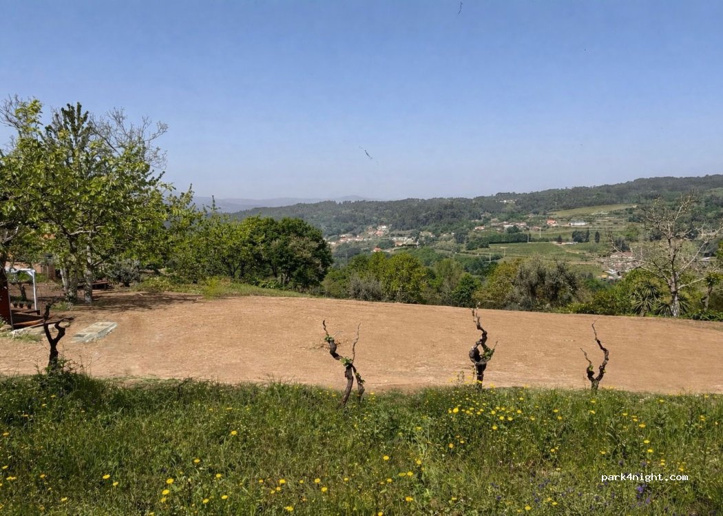 Tiny Escape – Private Motorhome Stays (3 Spaces) — foto 4