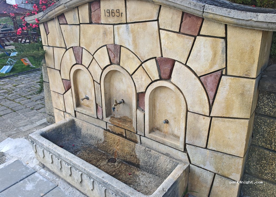 (5654) Gumoshtnik - GAB2167 — foto