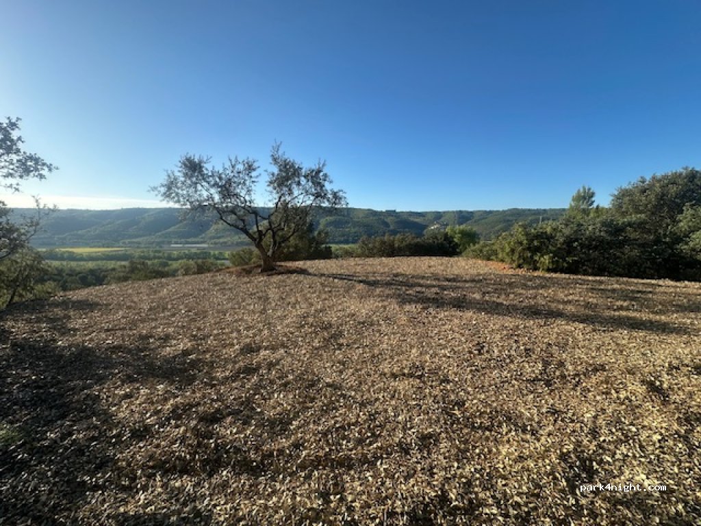 La Babassière du Jas Ricavy — foto 4