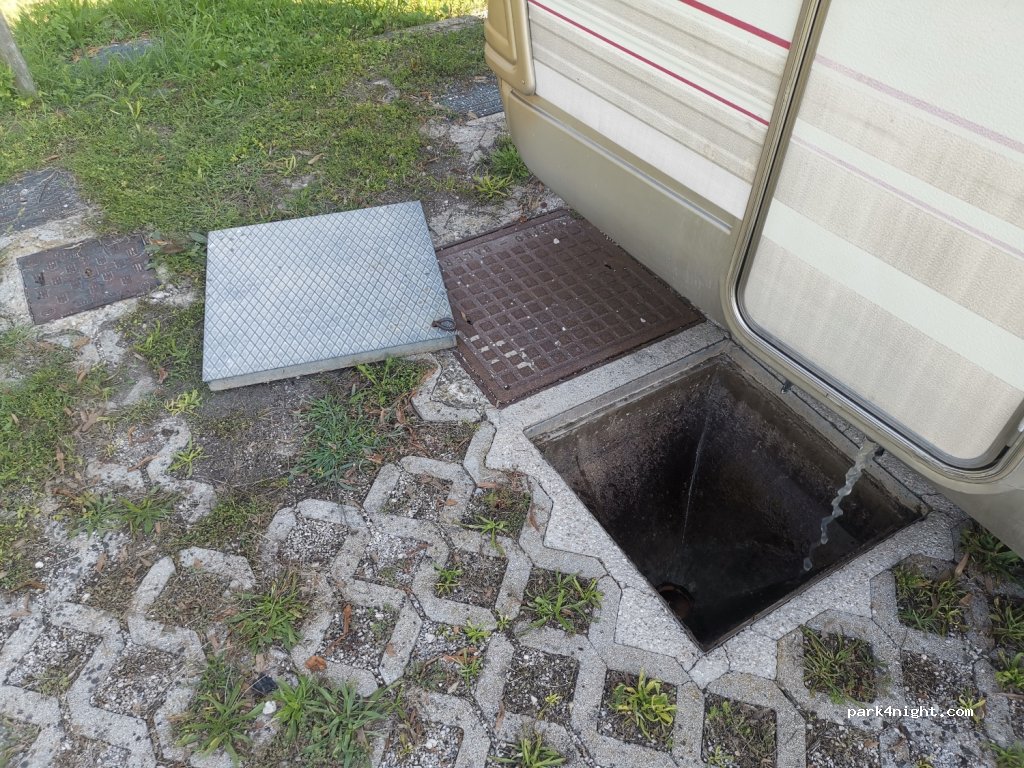 (33070) Basse - 26 SP67 — foto 2