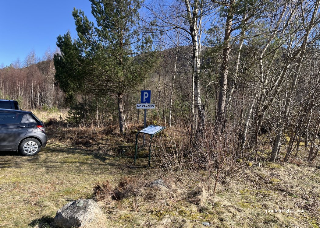 (5567) Skjoldastraumen - Nedstrandsvegen — foto