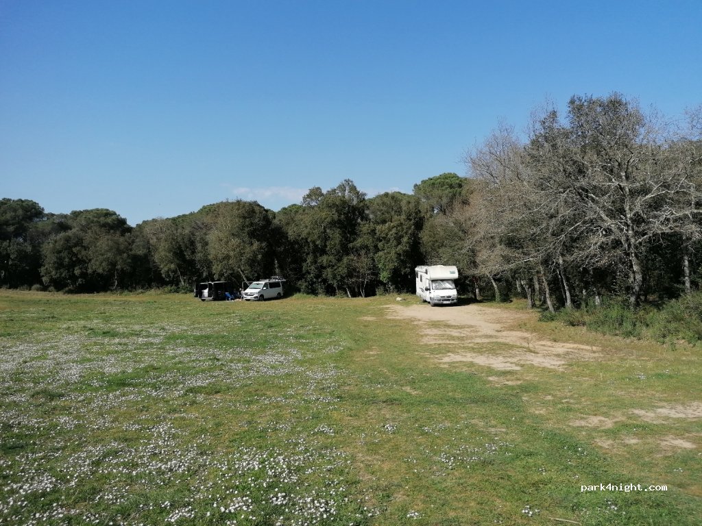 (17455) Caldes de Malavella - 40 Urbanitzacio Malavella Park — foto 3
