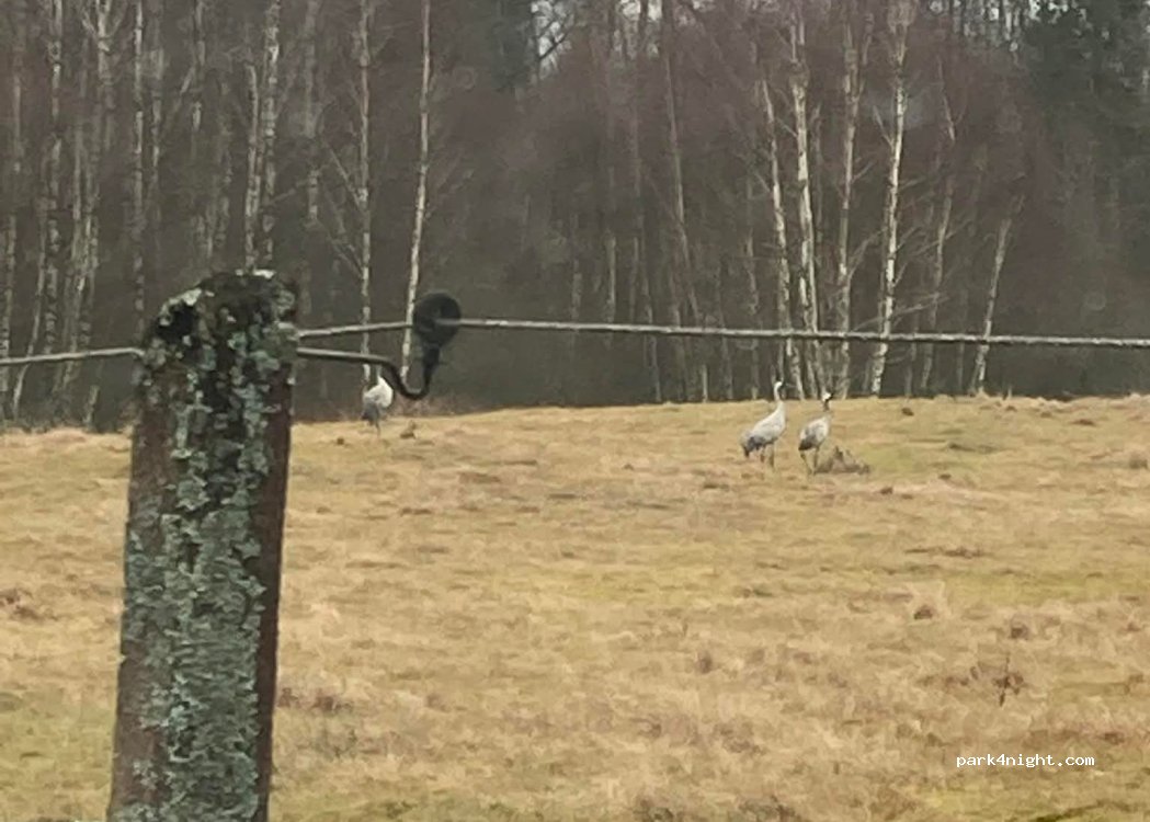 (26453) Ljungbyhed - — foto 3