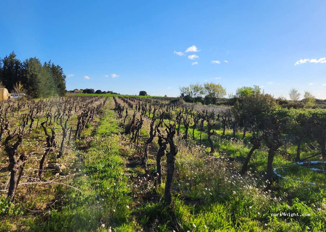 Domaine Croix Saint Julien — foto 3