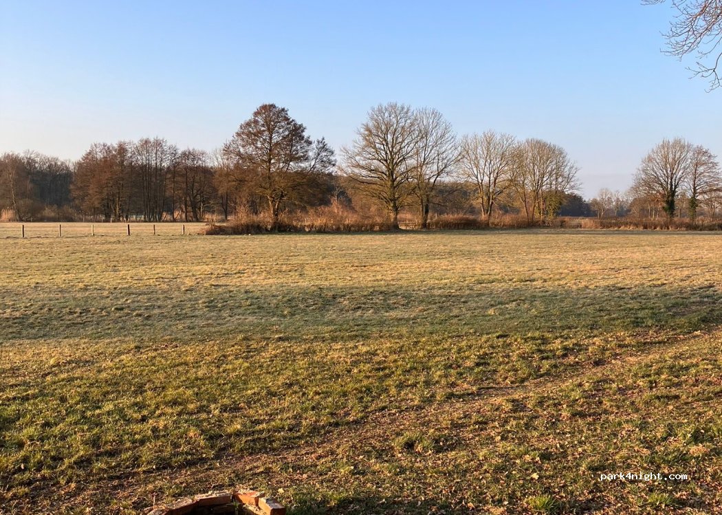 (29693) Böhme - Bierde — foto