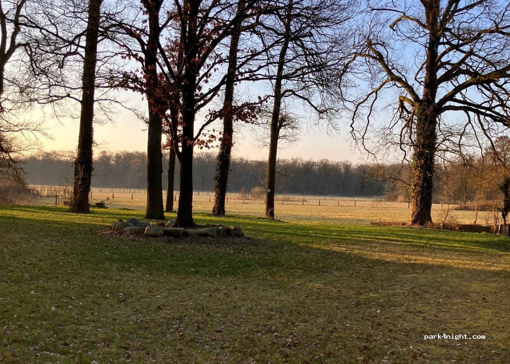 (29693) Böhme - Bierde — foto 3