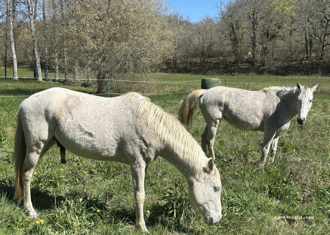 (46340) Dégagnac - 81 impasse du minotier — foto 3