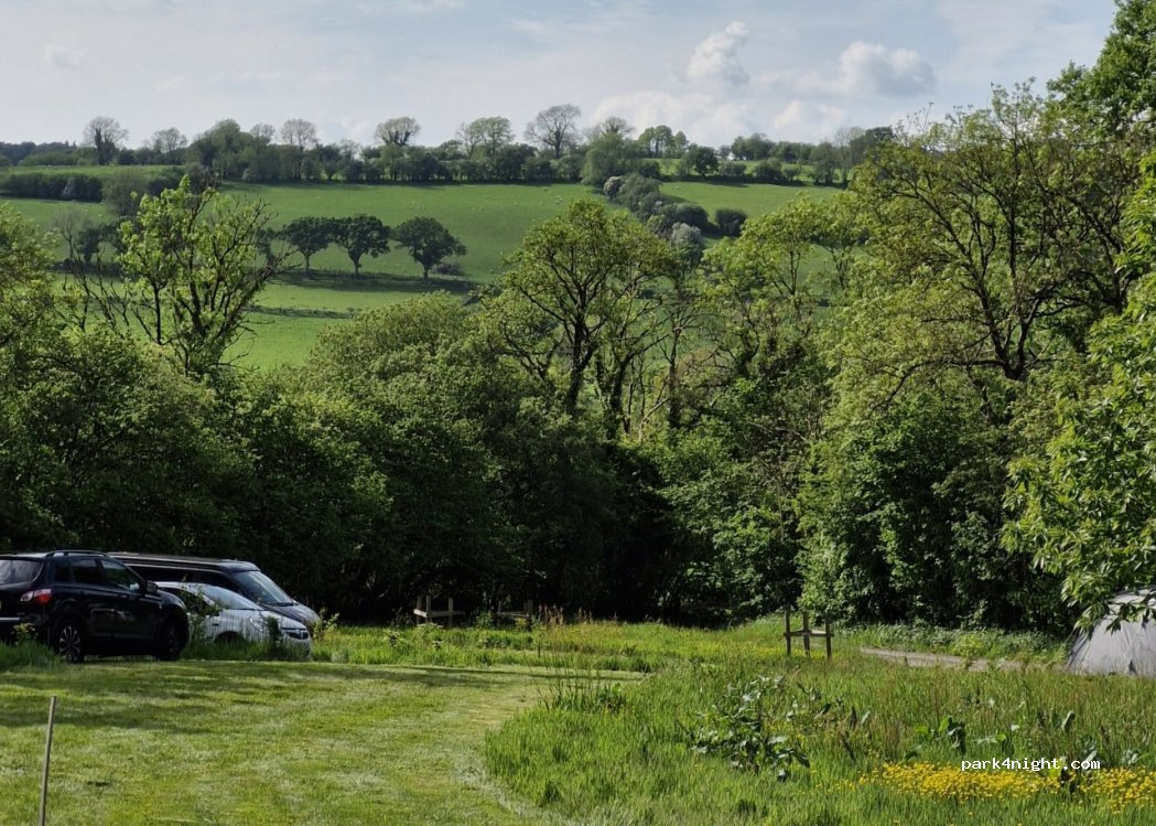 Teifi Meadows — foto 3