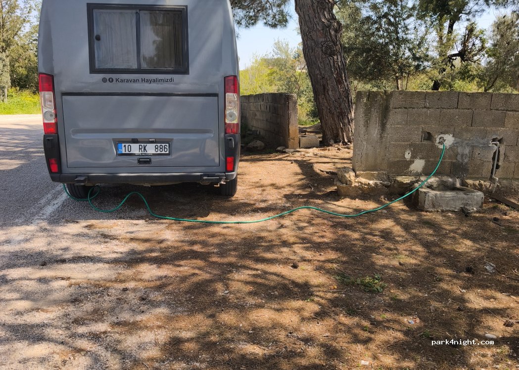 (80750) Çiğdemli - 80-77 — foto