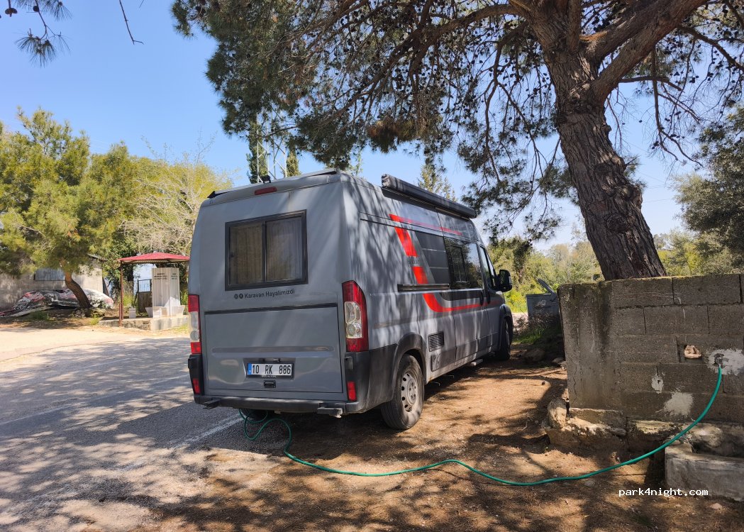 (80750) Çiğdemli - 80-77 — foto 2