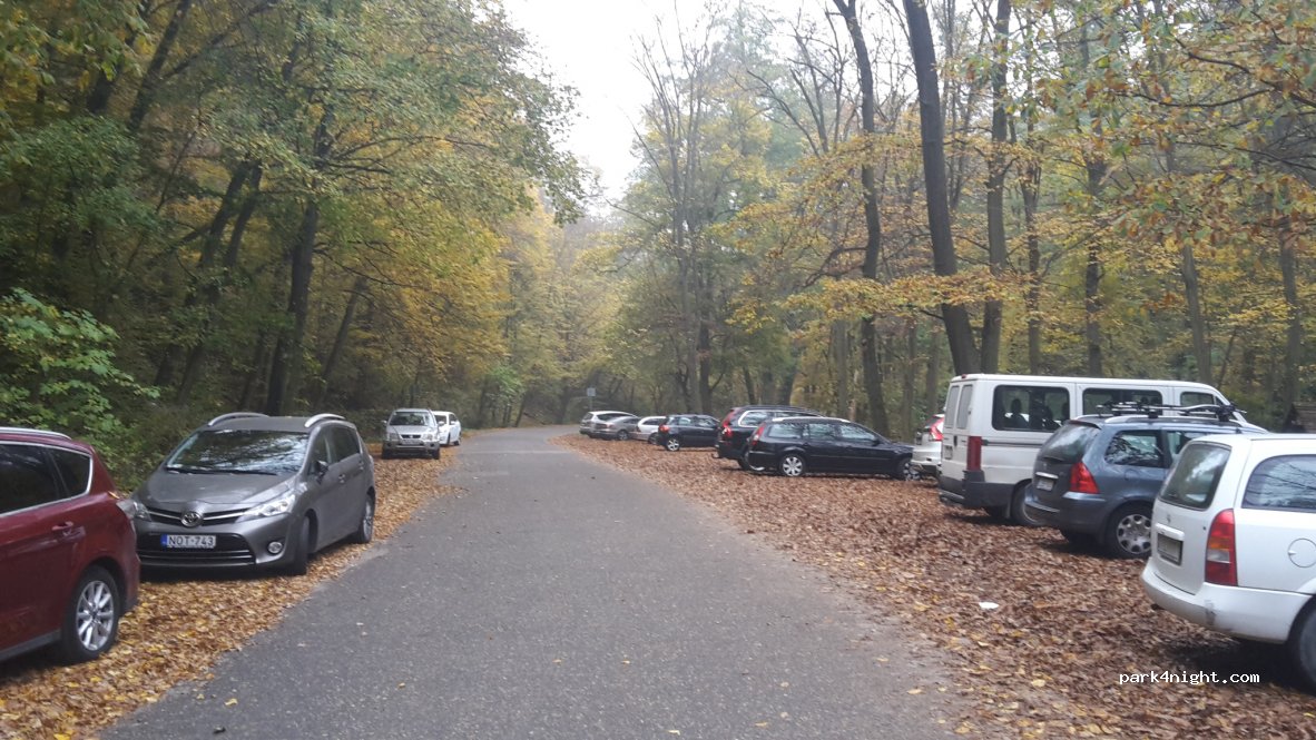 (2025) Visegrád - Unnamed Road — foto