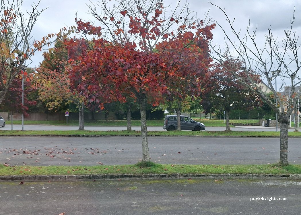 (22260) Plouëc-du-Trieux - 12 Rue de la Mairie — foto 5