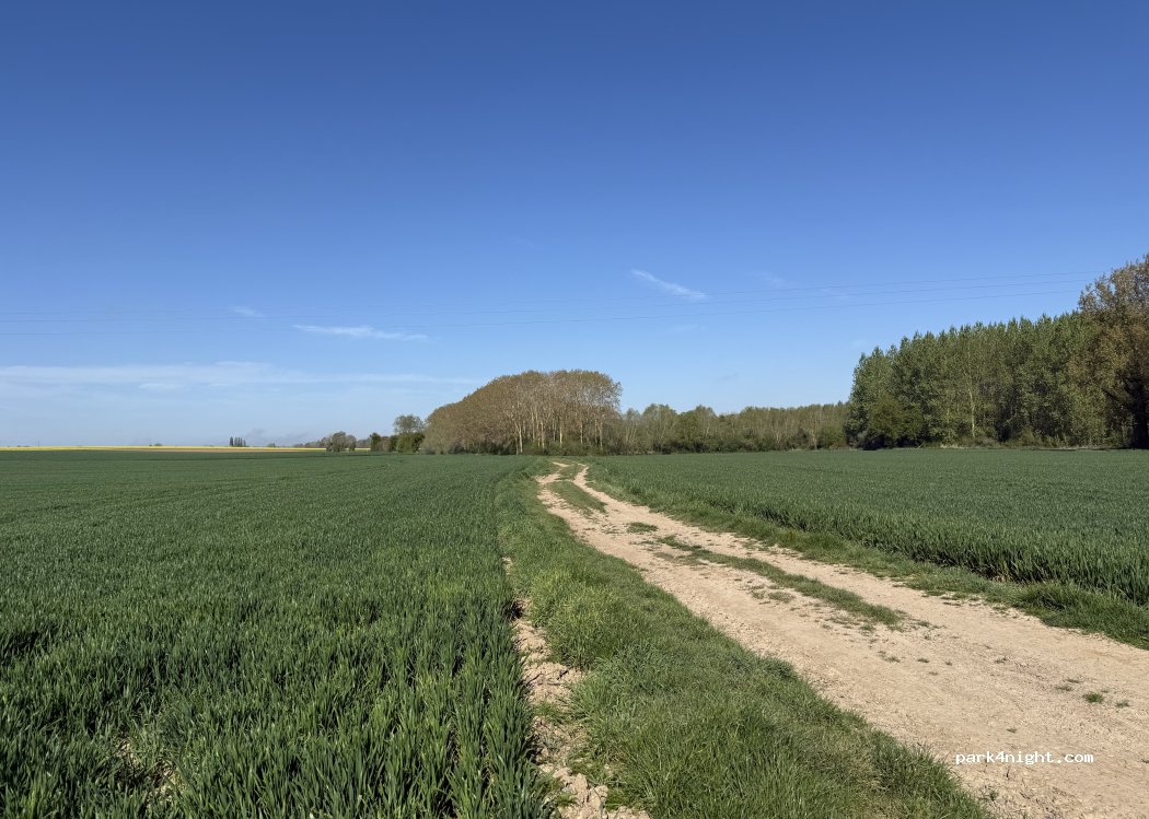 (80800) Cerisy - Rue du Calvaire — foto 3