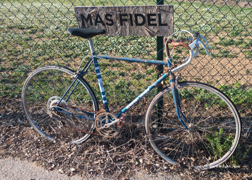 Mas Fidel — foto 5
