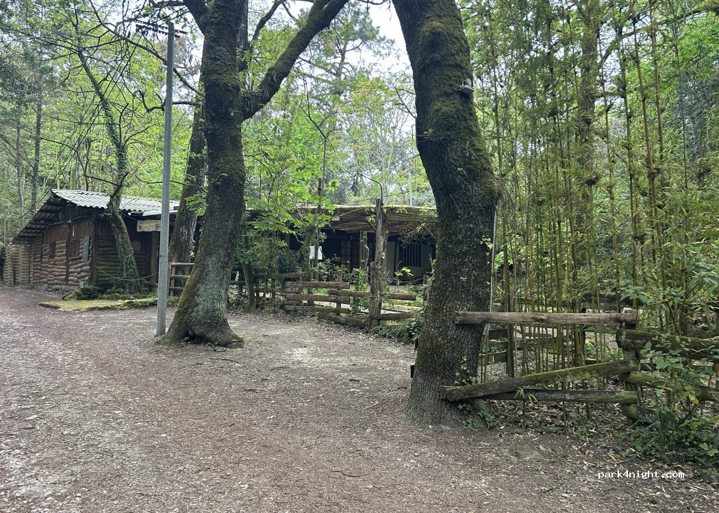 (17110) Saint-Georges-de-Didonne - Allée du Phare aux Lapins — foto 3