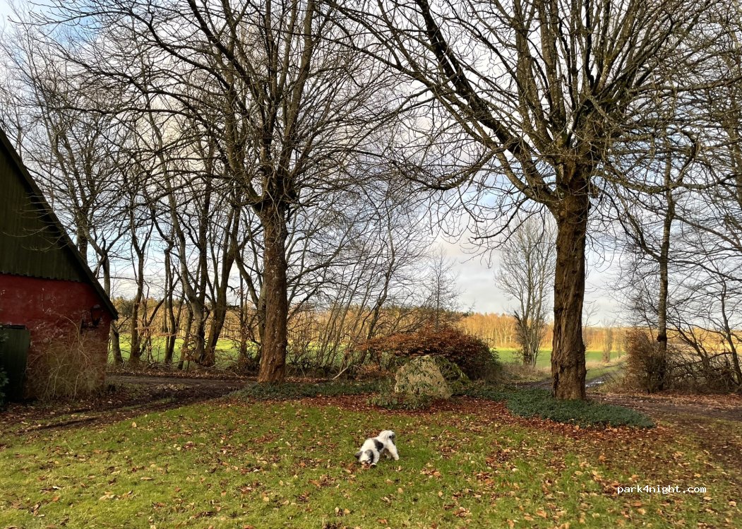 () Lind - Skomagerbakken — foto 3