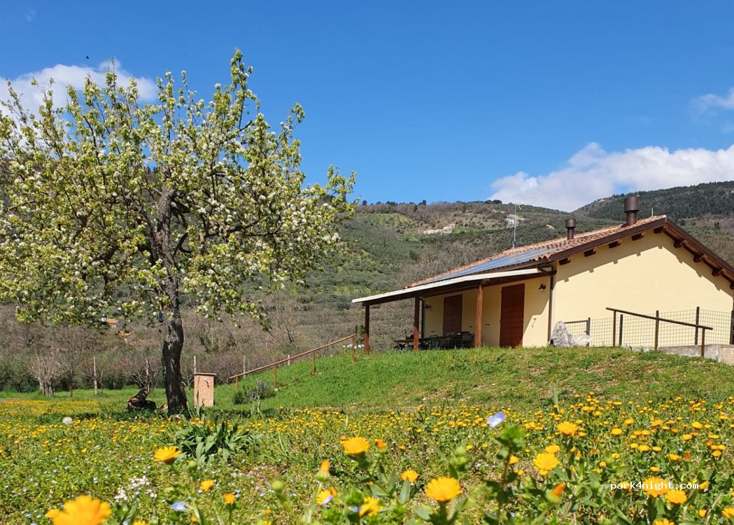 Ro Lo Agricola — foto