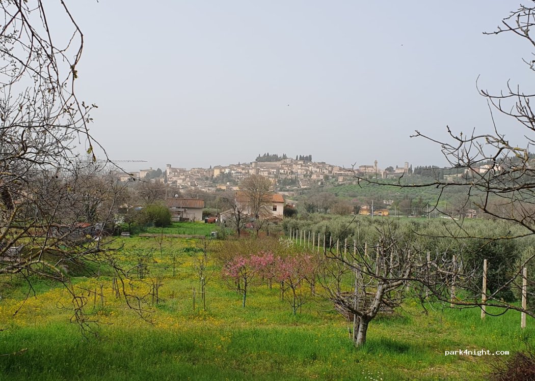 Ro Lo Agricola — foto 3