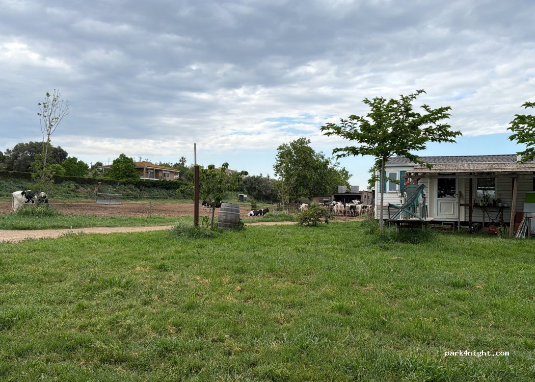 (17133) Ultramort - Camí Vell de Torroella de Montgrí, s/n — foto 3