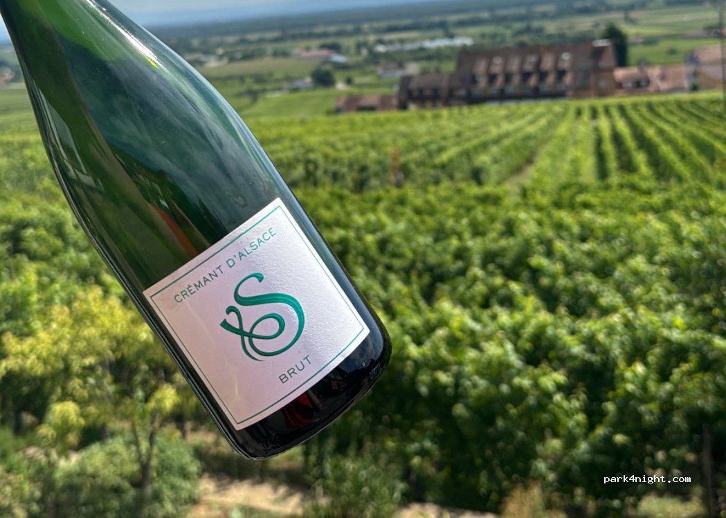 Bienvenue au Domaine Schneider Xavier ! — foto 3