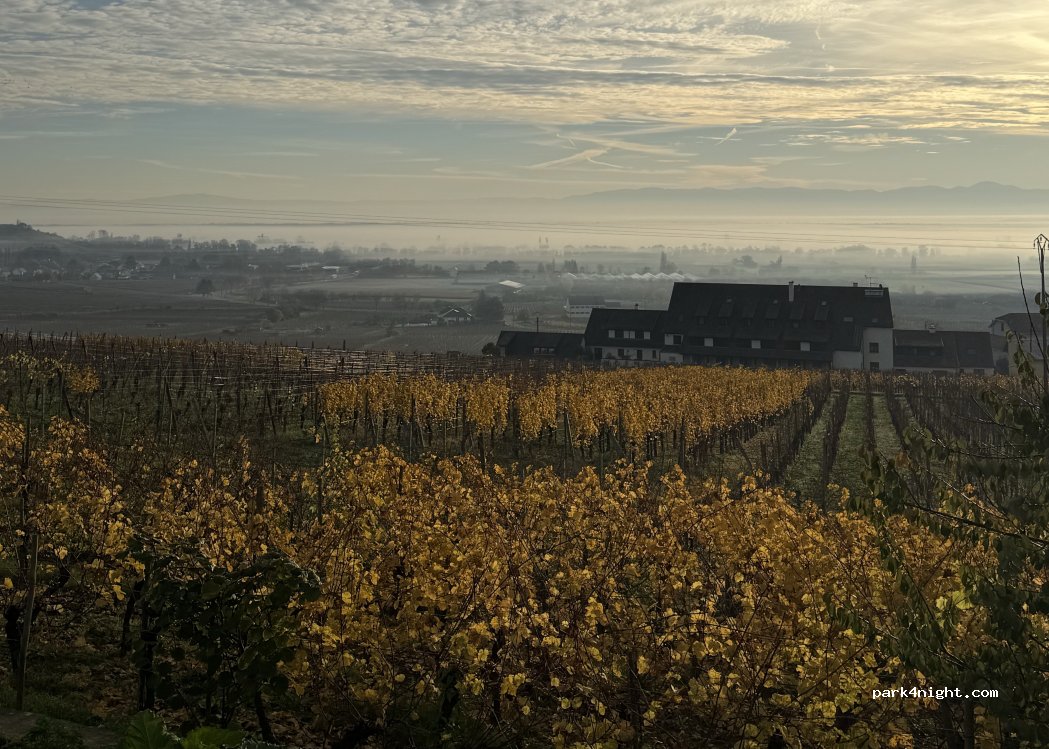 Bienvenue au Domaine Schneider Xavier ! — foto 4