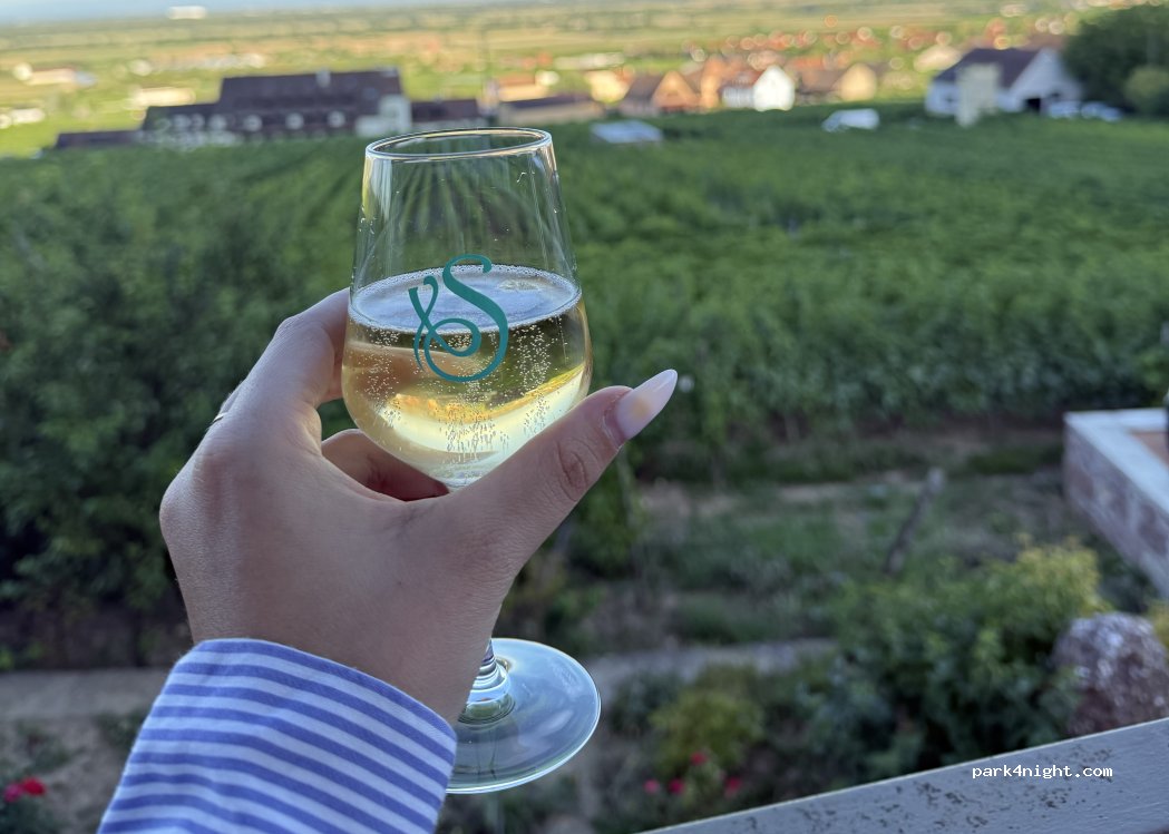 Bienvenue au Domaine Schneider Xavier ! — foto 5